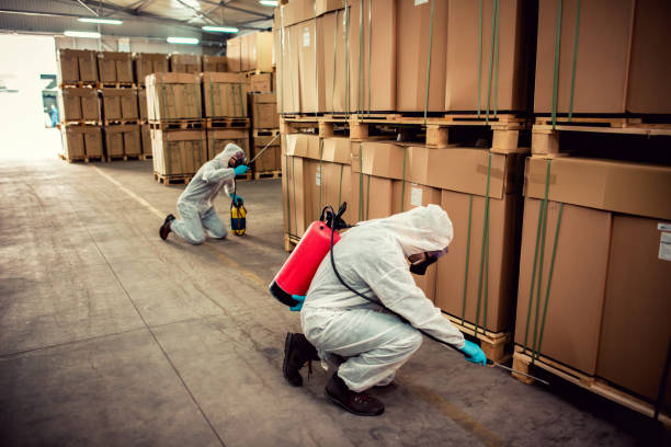Best Flea Control Services  in Five Corners, WA