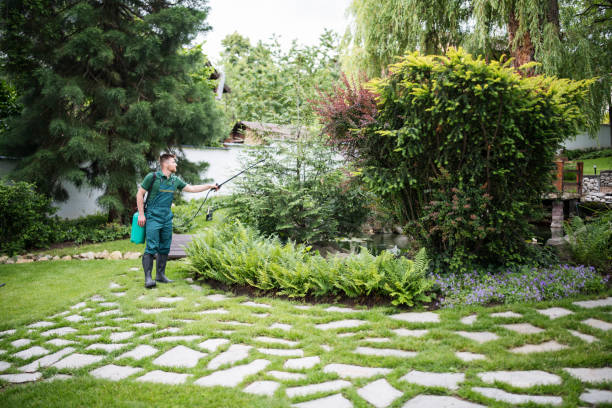 Trusted Five Corners, WA Pest Control Experts