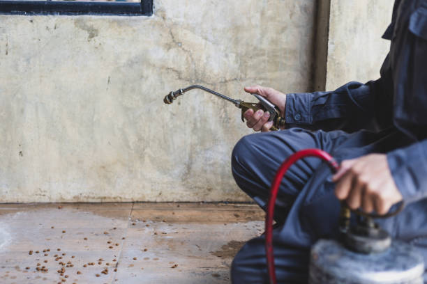 Best Pest Prevention Services  in Five Corners, WA