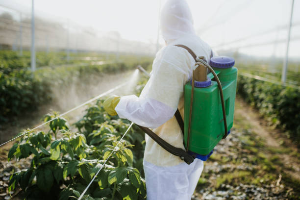 Best Cockroach Control Services  in Five Corners, WA
